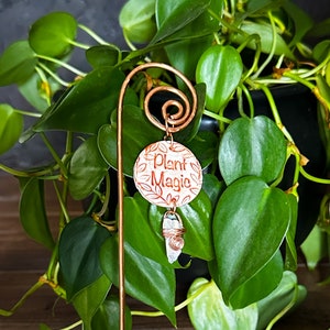 May include: A copper plant stake with a white ceramic charm that says "Plant Magic". The charm has a small clear crystal hanging from it. The stake is in a pot of green leafy plants.