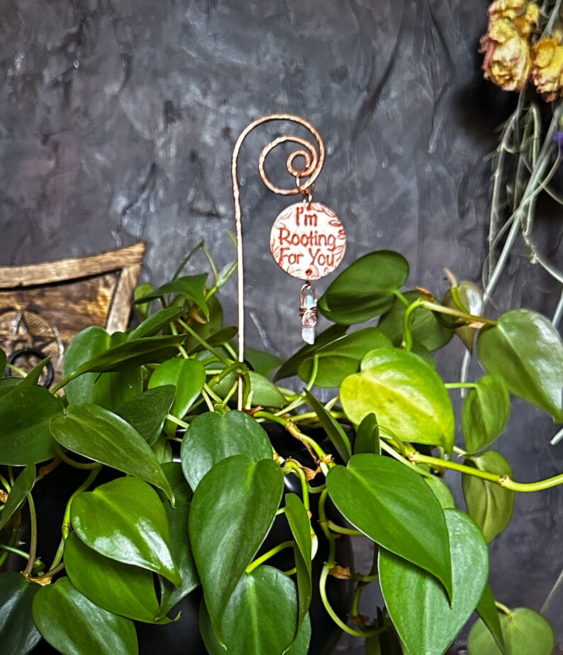 Puede incluir: Una estaca de planta de cobre con un encanto redondo que dice "Te estoy animando". El encanto est&aacute; unido a un cristal transparente. La estaca est&aacute; en una maceta de plantas verdes.