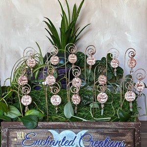 Puede incluir: Una caja de madera con las palabras "Her Enchanted Creations" pintadas en la parte delantera. La caja est&aacute; llena de plantas verdes y 14 peque&ntilde;os marcadores de plantas de metal con diferentes lemas. Los lemas incluyen "Plant Mom", "Green Witch", "Grow & Thrive" y "One With Nature".