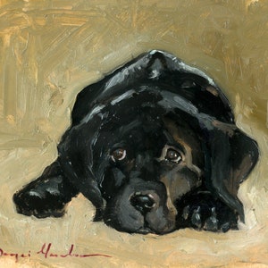 Black Lab Print of Original Oil Painting, "Puppy", Black Labrador Painting, Black Labrador Prints, Dog Portrait, Labrador Retriever, Giclée