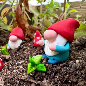 Pode incluir: Duas pequenas figuras de gnomos feitas de material liso, cada uma com um chapéu pontudo vermelho brilhante, barba branca e túnica azul. Estão colocadas em terra escura ao lado de um pequeno cogumelo vermelho com manchas brancas.