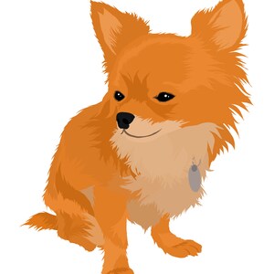 May include: A small, orange chihuahua with a tag on its collar sits with its head tilted to the side. The dog has a fluffy coat and a sweet expression.