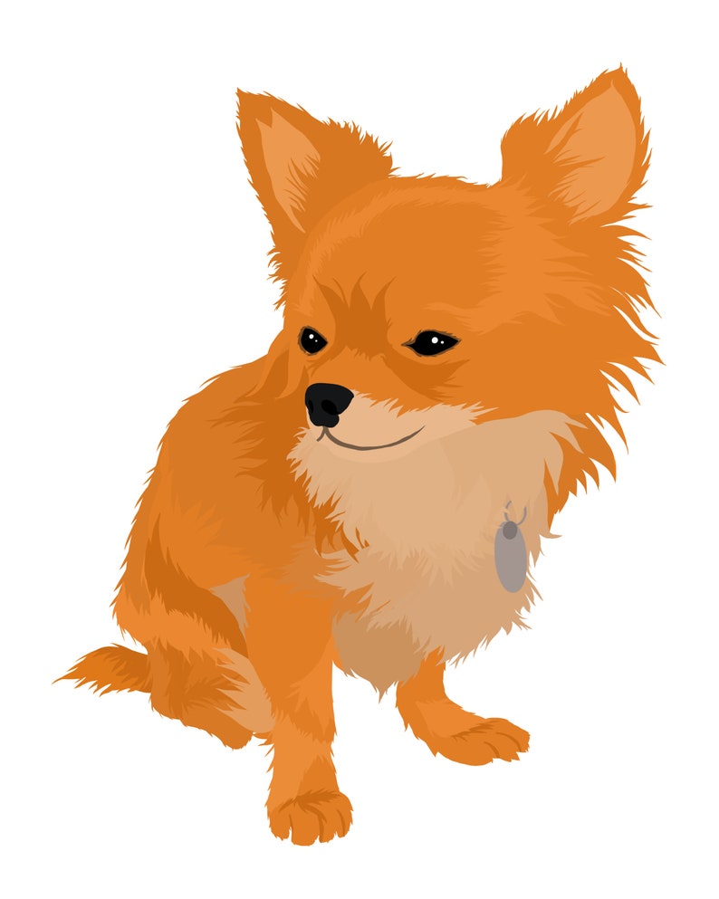 May include: A small, orange chihuahua with a tag on its collar sits with its head tilted to the side. The dog has a fluffy coat and a sweet expression.