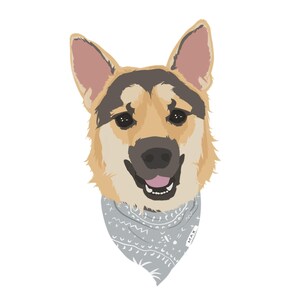 Retrato conmemorativo personalizado para mascotas / Recuerdo de la pérdida de una mascota / Regalo de condolencias / Perro o gato con puente arcoíris personalizado, dibujado a mano a partir de una foto