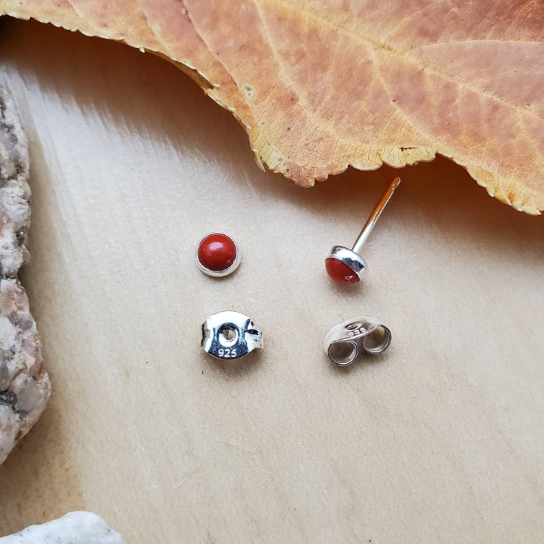 May include: A pair of silver stud earrings with red gemstone accents. The earrings are marked with "925" on the back.