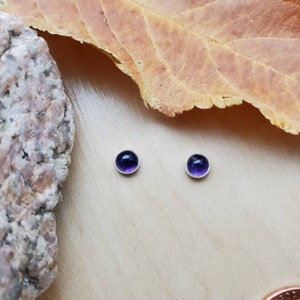 May include: A pair of silver stud earrings with small, round, purple amethyst stones.