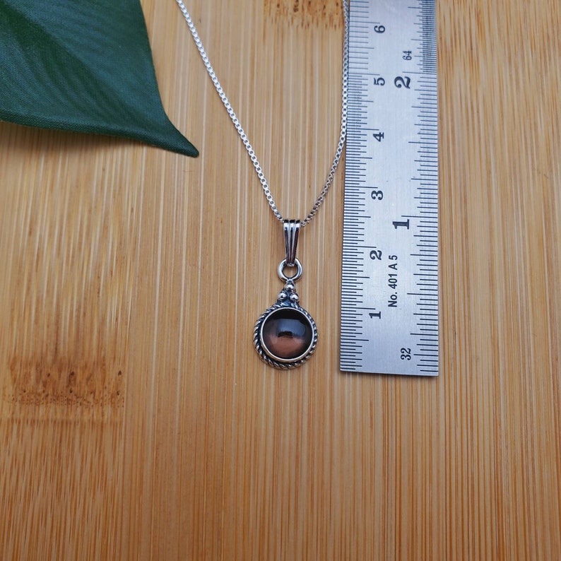 Pu&ograve; includere: Una collana con catena d'argento con un ciondolo rotondo che presenta una pietra marrone scuro incastonata in una ghiera d'argento. Il ciondolo ha un design decorativo attorno al bordo.