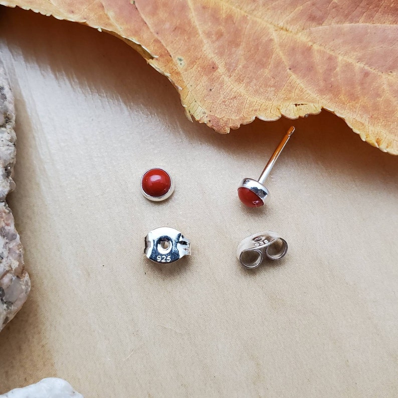 May include: A pair of silver stud earrings with red gemstone accents. The earrings are marked with "925" on the back.