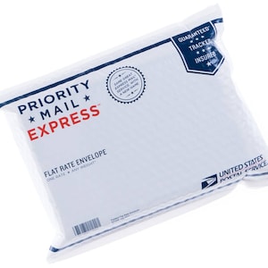 May include: A white Priority Mail Express flat rate envelope with blue and red text. The envelope is made of a bubble-wrap-like material and features the United States Postal Service logo. Text includes "Guaranteed Tracker Insured".
