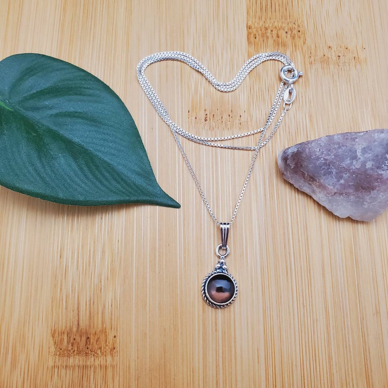 Pu&ograve; includere: Una collana con catena d'argento con un ciondolo rotondo che presenta una pietra marrone scuro incastonata in una cornice d'argento.