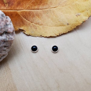 May include: Two small, round black stud earrings with a silver-colored border. The earrings are displayed on a light brown wooden surface, with a dried leaf and a rock in the background. The earrings are a simple, classic design.