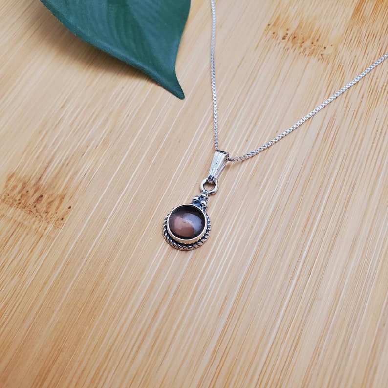 Pu&ograve; includere: Una collana con catena d'argento con un ciondolo rotondo che presenta una pietra preziosa marrone incastonata in una ghiera d'argento. Il ciondolo ha un bordo decorativo in argento.