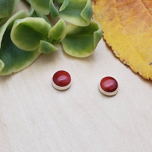 SoCute925 5 mm Zierliche Rote Bambus Koralle Ohrstecker | Rote Koralle Ohrstecker | Korallen Ohrstecker | Sterling Silber Rote Koralle Schmuck Made in USA