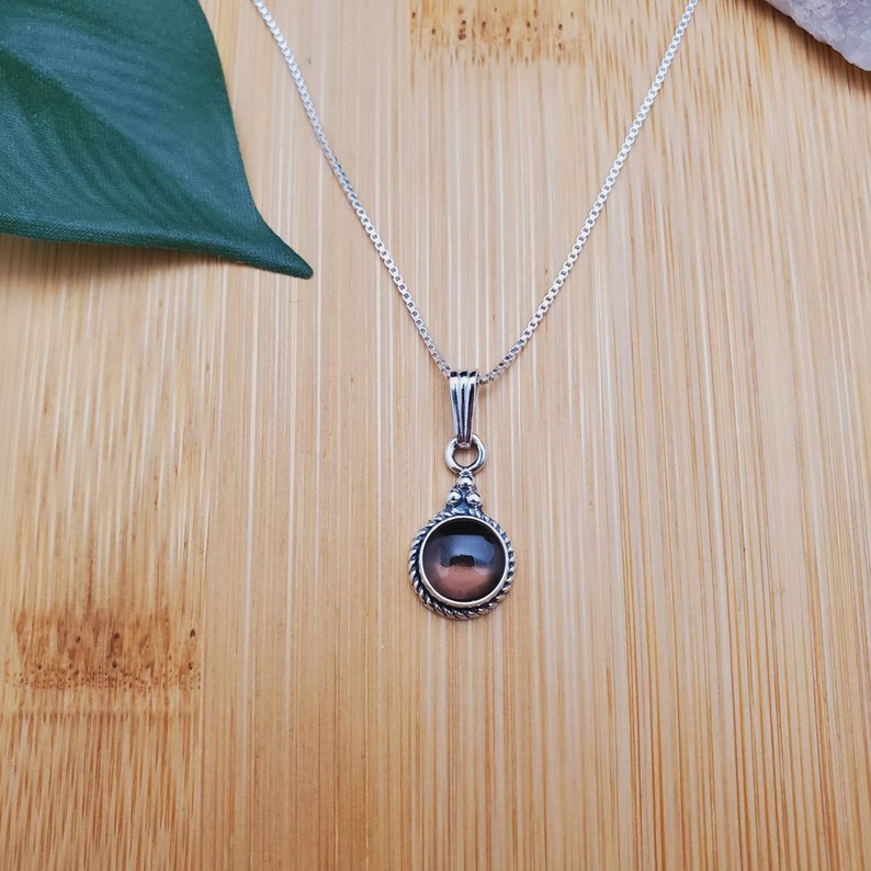 Pu&ograve; includere: Una collana con catena d'argento con un ciondolo rotondo che presenta una pietra preziosa marrone incastonata in una ghiera d'argento.