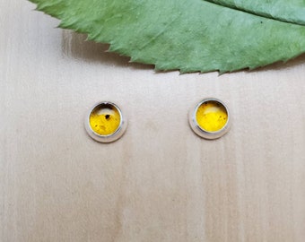 SoCute925 6mm Kleine Amber Post Oorbellen | Sierlijke gele amber stud oorbellen | Sterling Zilveren Sieraden | Kleine zilveren palen | Gemaakt in de VS