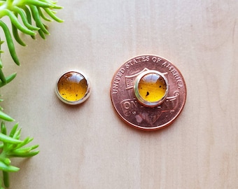 Pendientes de ámbar amarillo SoCute925 de 8 mm / Pendientes de ámbar en plata de ley / Pendientes delicados de ámbar / Joyería de ámbar en plata / Hechos en EE. UU.