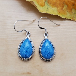 May include: A pair of silver teardrop earrings with blue gemstone accents. The earrings have a delicate, intricate design.