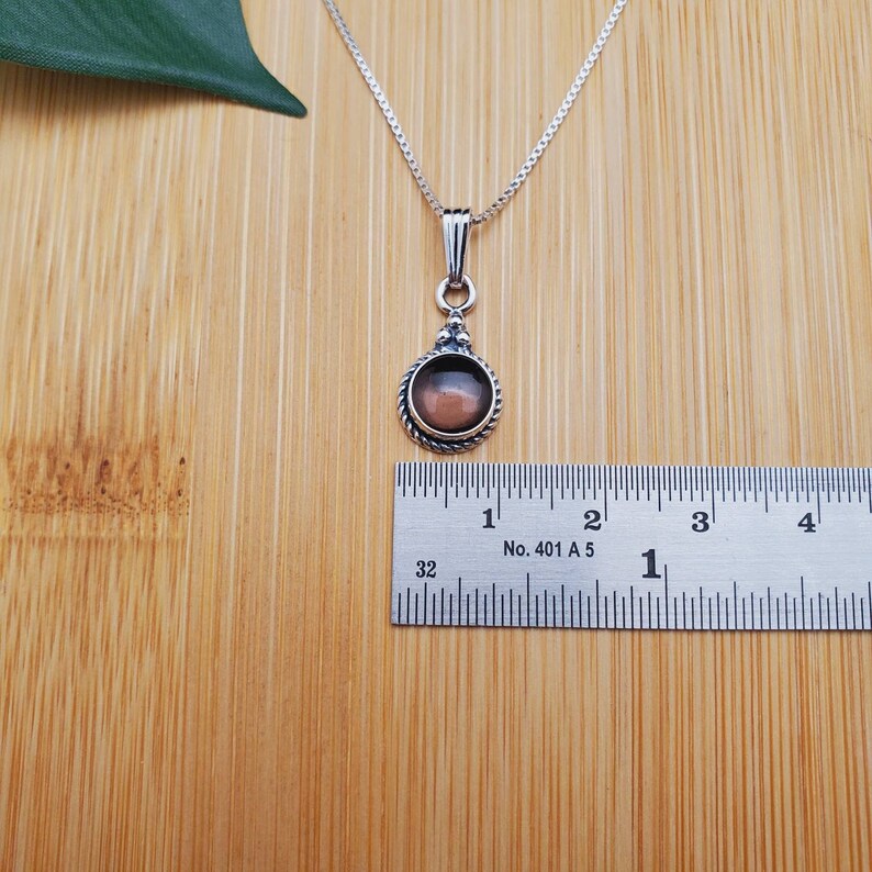 Pu&ograve; includere: Una collana con catena d'argento con un ciondolo rotondo con una pietra preziosa marrone. Il ciondolo ha un diametro di circa 2,5 cm.