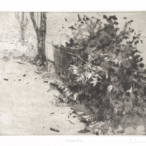 Original Etching Aquatint, Farm Fenceline & Leafy Trees. Original Art Intaglio Print, Urban Landscape Printmaking Artist Todd Tremeer