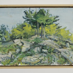 Landschapsschilderkunst, Georgian Bay, Canada. Origineel olieverfschilderij. Killbear Provincial Park, Canadian Shield Forest-bomen. Kunstenaar Todd Tremeer