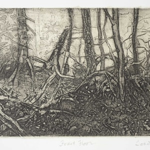 Op de afbeelding: Een zwart-wit ets van een bosbodem, met bomen en verwarde takken. Het kunstwerk is gesigneerd en getiteld "Forest Floor", met de tekst "unique proof" onderaan. De stijl is gedetailleerd en gestructureerd.