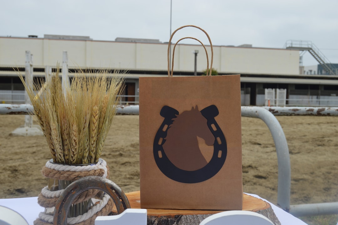 Western Cowboy Party Favor Bag / My First Rodeo Candy Bag / Treat Bag / Goody Bag / Western