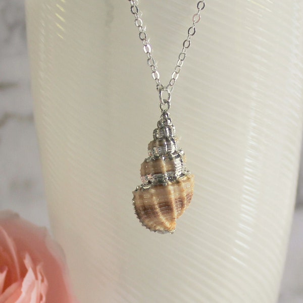 Silver Dipped Real Conch Sea Shell Necklace