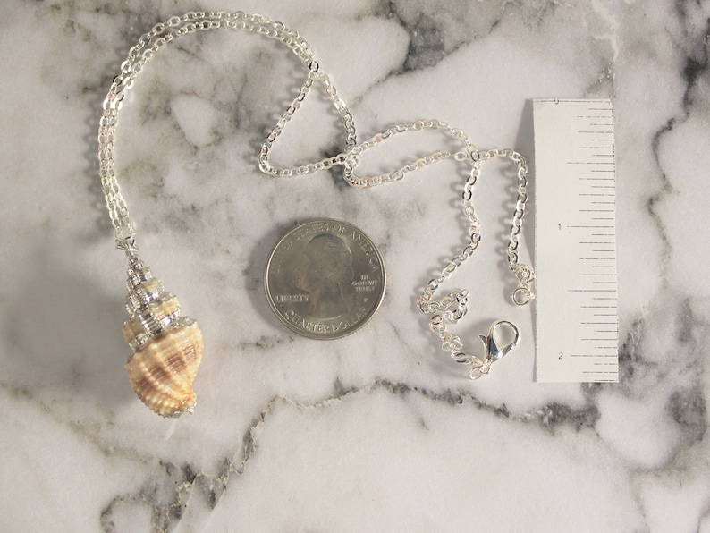 Silver Dipped Real Conch Sea Shell Necklace Etsy