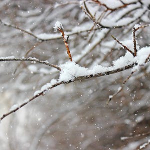 Snowfall