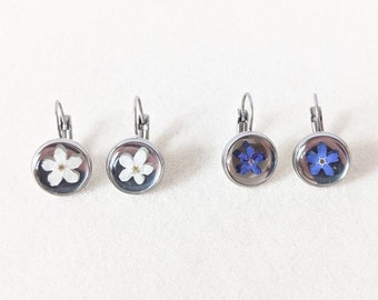 Real Forget Me Not Resin Leverback Earrings, Botanical Jewelery, Real Pressed Flowers, Handmade Gift for Her, Birthday Gift, Stainless Steel