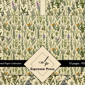 Coleção de papel erval vintage - somente PDF, papéis, ervas mistas, folhas, multicolorido, papéis, artesanato, álbum de recortes, diário indesejado