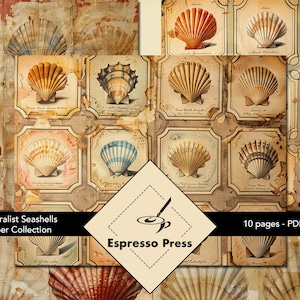 Naturalist Seashells Paper Collection - PDF only, Papers, Seashells, Beach, Sea, Text, Multicolor, Papers, Crafts, Scrapbook, Junk Journal