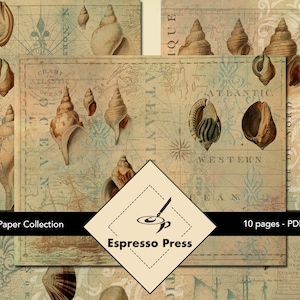 Tides Paper Collection - PDF only, Papers, Seashells, Beach, Sea, Text, Multicolor, Papers, Crafts, Scrapbook, Junk Journal
