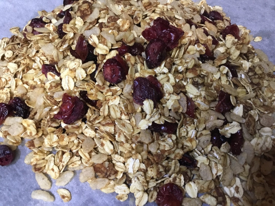 16oz Fresh Homemade Crunchy Healthy Granolalow SUGAR Coconut Oilmade to Order Etsy UK