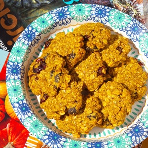 Pu&ograve; includere: Primo piano di un piatto di biscotti d'avena con mirtilli rossi e gocce di cioccolato. I biscotti sono su un piatto di carta bianco con un motivo floreale blu e verde.