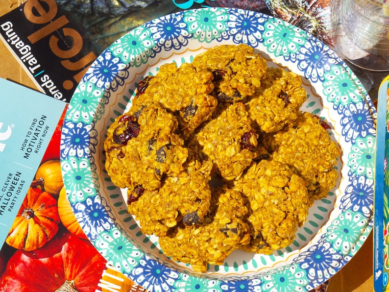 Pu&ograve; includere: Primo piano di un piatto di biscotti d'avena con mirtilli rossi e gocce di cioccolato. I biscotti sono su un piatto di carta bianco con un motivo floreale blu e verde.