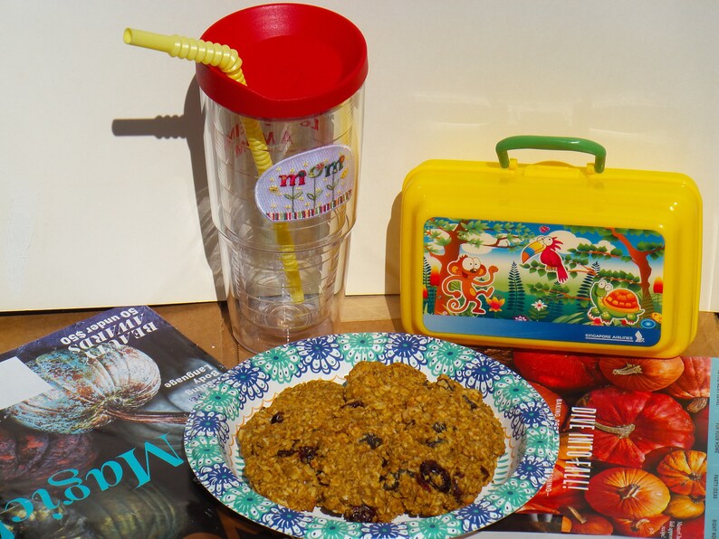 Pu&ograve; includere: Primo piano di un piatto di biscotti all'avena, uvetta e mirtilli rossi. I biscotti sono su un piatto di carta con motivo blu e bianco. C'&egrave; una scatola da pranzo gialla con una scimmia, un tucano e una tartaruga disegnati su di essa. C'&egrave; un bicchiere trasparente con un coperchio rosso e una cannuccia gialla. Il bicchiere ha un adesivo che dice "Mamma" su di esso. Ci sono due libri sullo sfondo, uno con una zucca sulla copertina e l'altro con un titolo che dice "Riviste".