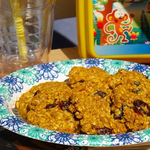 Pu&ograve; includere: Primo piano di un piatto di biscotti d'avena con mirtilli rossi. I biscotti sono su un piatto di carta con motivo blu e verde.