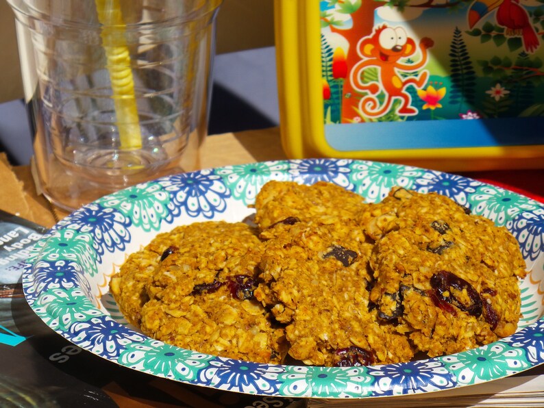 Pu&ograve; includere: Primo piano di un piatto di biscotti d'avena con mirtilli rossi. I biscotti sono su un piatto di carta con motivo blu e verde.