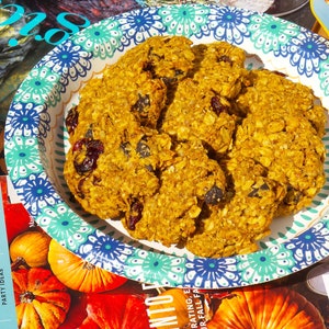 Pu&ograve; includere: Primo piano di un piatto di biscotti all'avena fatti in casa con mirtilli rossi e avena. I biscotti sono su un piatto di carta con motivo blu e verde.