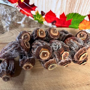Natural Dried Hoshigaki Persimmons *USA2025