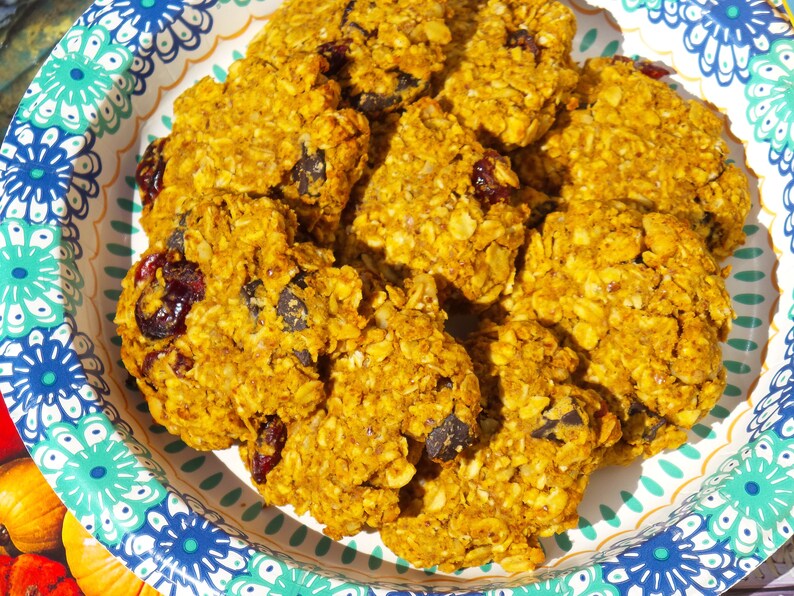 Pu&ograve; includere: Primo piano di un piatto di biscotti all'avena fatti in casa con mirtilli rossi e gocce di cioccolato. I biscotti sono dorati e hanno una consistenza leggermente croccante.