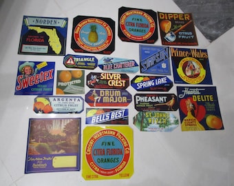 Vintage Lot of 20 Antique FLORIDA Original Orange Citrus Fruit CRATE LABELS Authentic