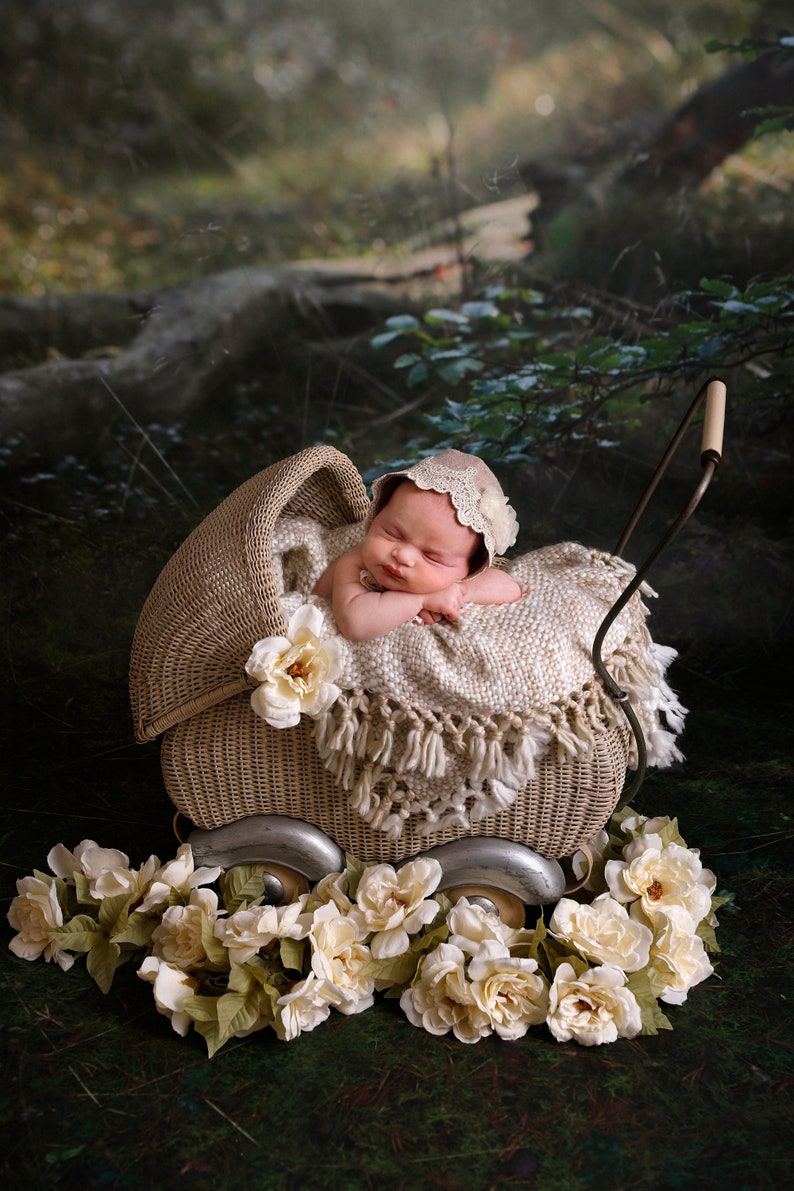 Newborn Digital Backdrops Instant Download Etsy
