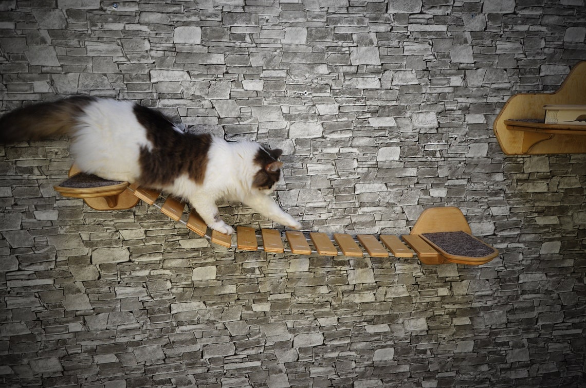 Cat bridge. Cat wall steps. Cat wall shelves. Step for the Etsy