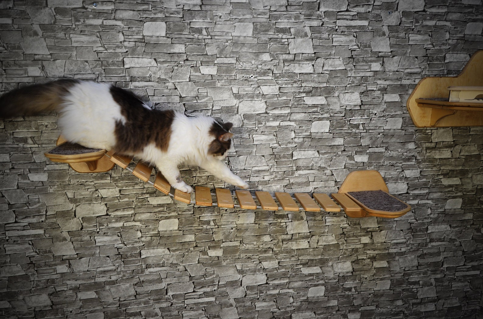 Cat bridge. Cat wall steps. Cat wall shelves. Step for the Etsy