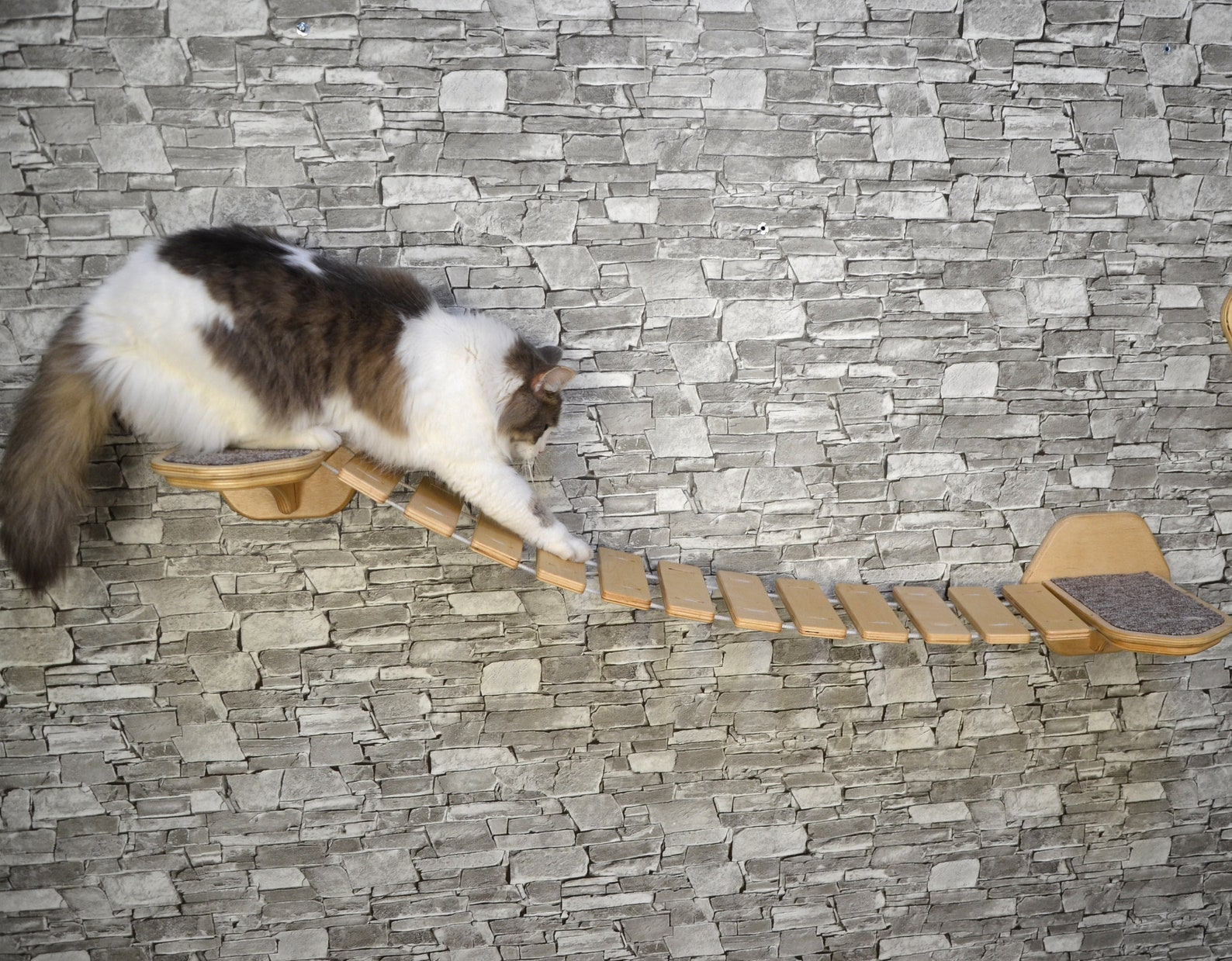 Cat bridge. Cat wall steps. Cat wall shelves. Step for the Etsy