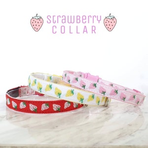 Strawberry  embroidery Cat Collar with Breakaway Safety Buckle , for Kitten Adult  cat  Small Dog