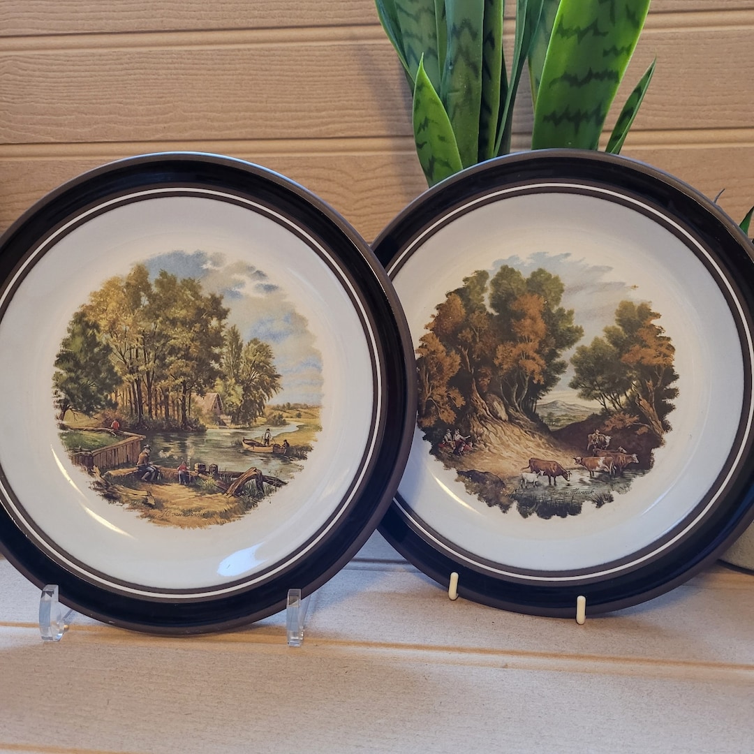 Paire vintage Hornsea Lancaster Vitramic Assiettes 25 cm Etsy France