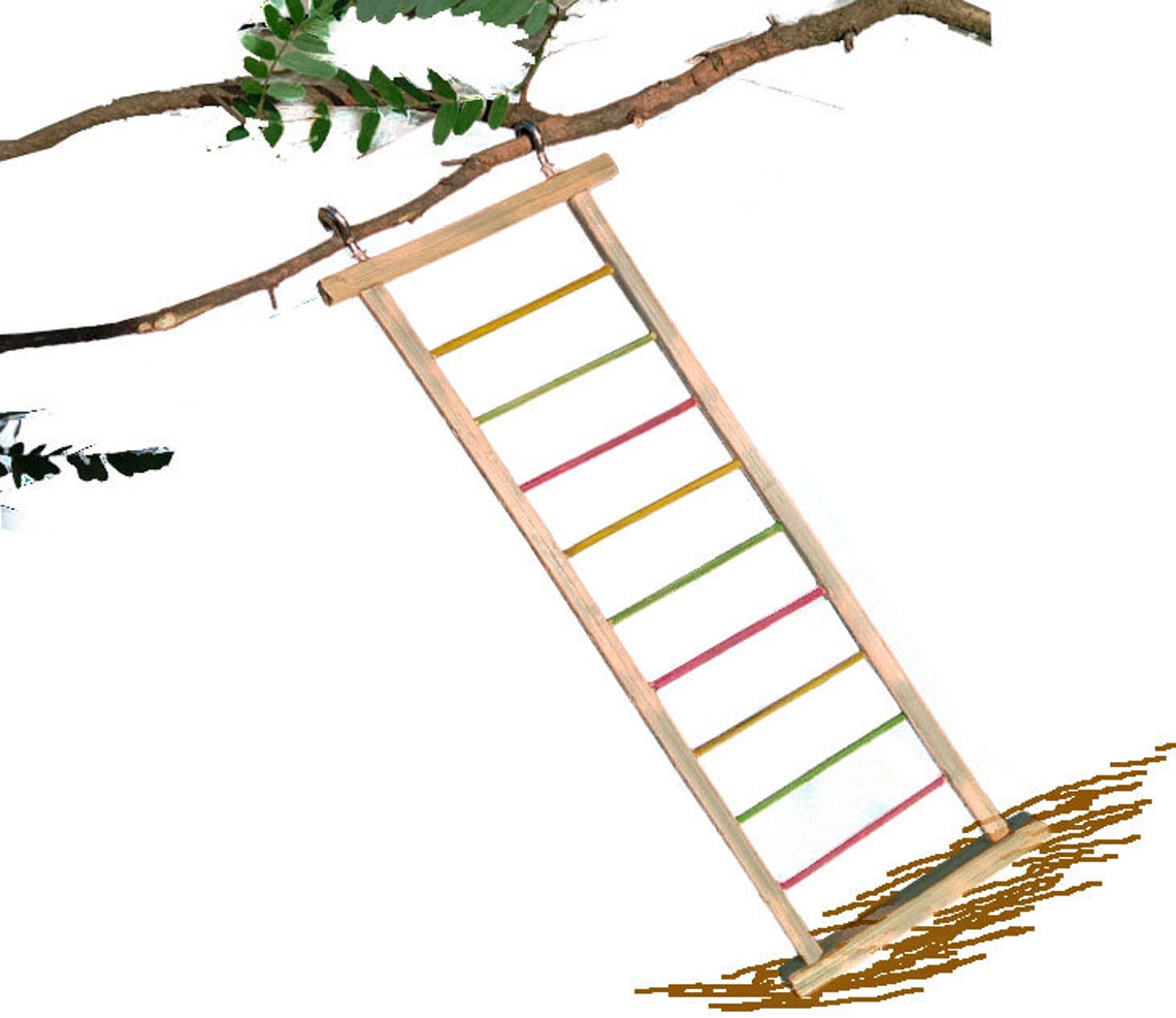 Bird toy ladder for small pet birds Etsy